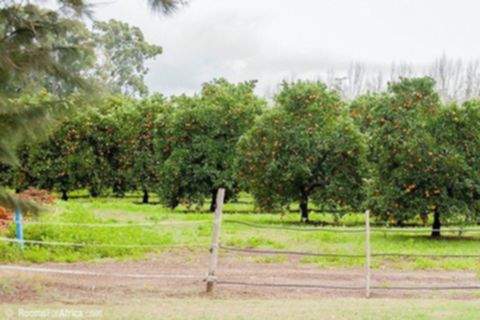 bed and breakfast accommodation addo 58905d3c9c1c7